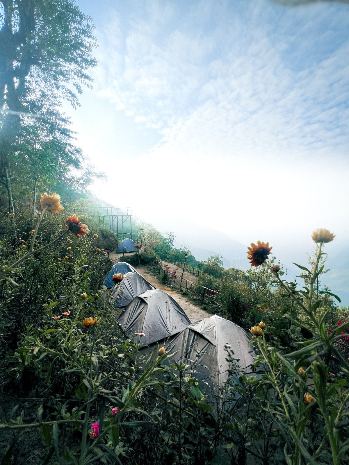 Tents at WONDERWEST Camp Ground in Vattavada